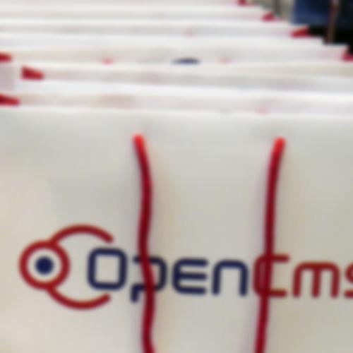 Several OpenCms bags standing in a row